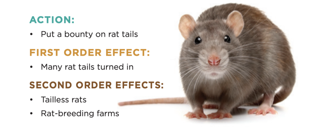 graphic highlights action, first order effect, and second order effects of real-world example
