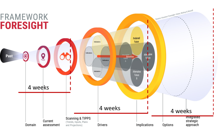 graphic highlights the key steps and timeframe of foresight scanning