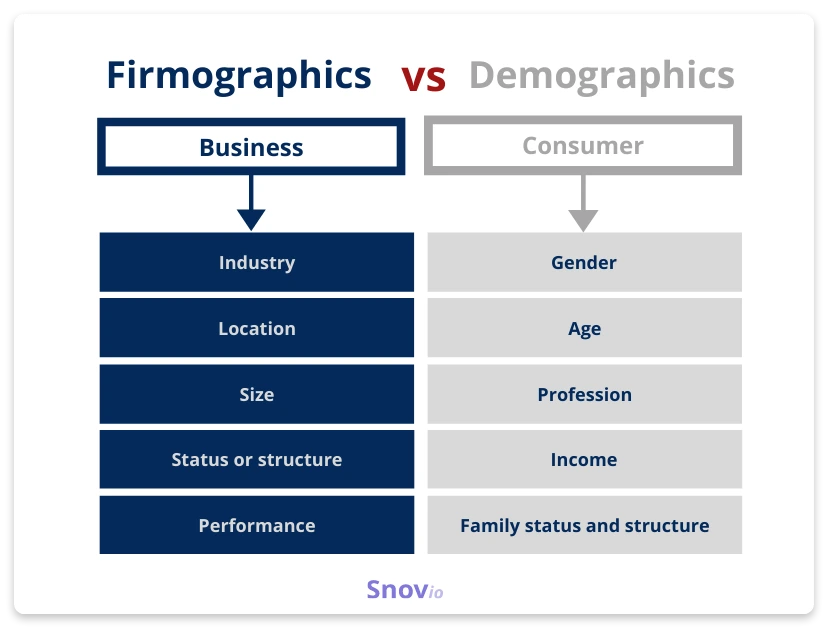 Infographic comparing firmographics and demographics used in B2B market segmentation and consumer targeting.