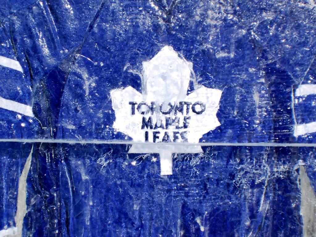 icy Toronto Maple Leafs jersey