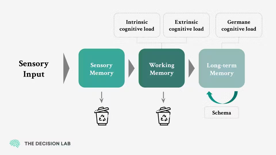 cognitive load model showing sensory working and long term memory in user decision processing